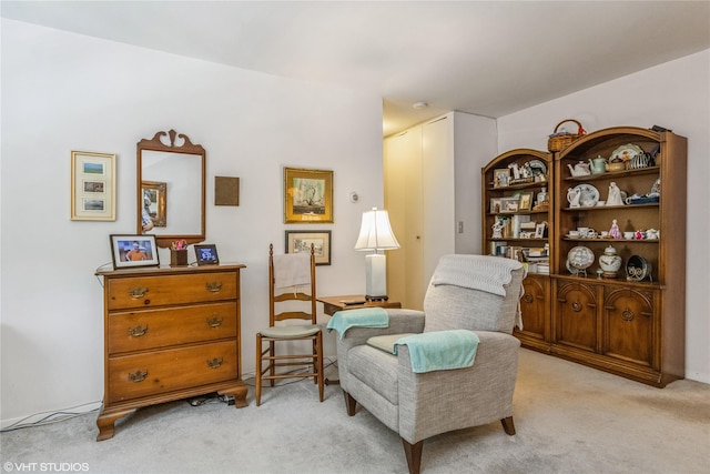 35 Stewart Pl Unit 302, Mount Kisco, NY 10549 - living area with light carpet