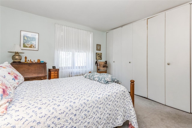 35 Stewart Pl Unit 302, Mount Kisco, NY 10549 - bedroom featuring light colored carpet and a closet