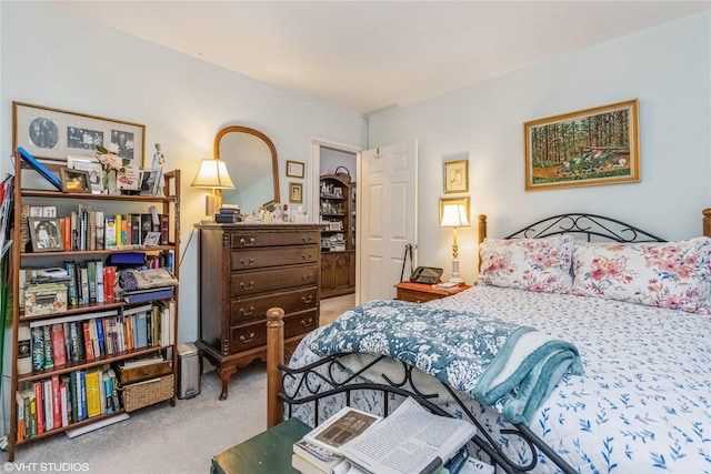35 Stewart Pl Unit 302, Mount Kisco, NY 10549 - bedroom with carpet flooring