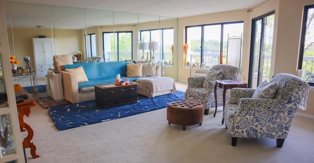 200 High Point Dr Unit 302, Hartsdale, NY 10530 - living area featuring carpet and plenty of natural light