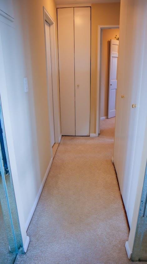 200 High Point Dr Unit 302, Hartsdale, NY 10530 - corridor featuring light colored carpet and baseboards