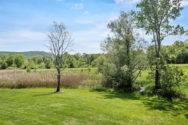 7 Pilgrim Ln, Washingtonville, NY 10992 - view of grassy yard