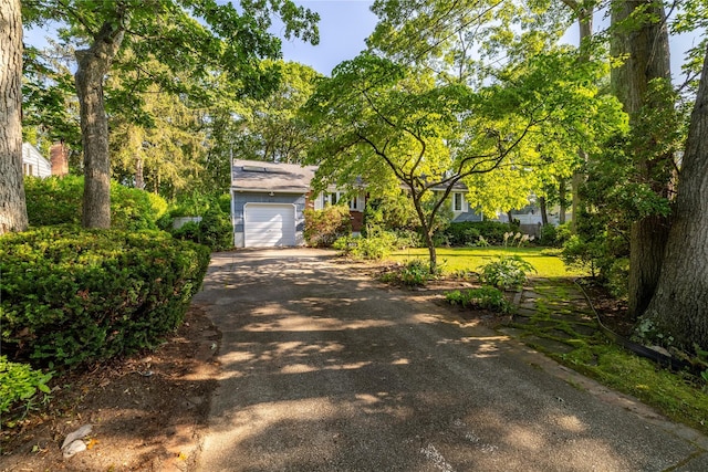 810 Tooker Ave, West Babylon, NY 11704 - view of property hidden behind natural elements featuring driveway and an attached garage