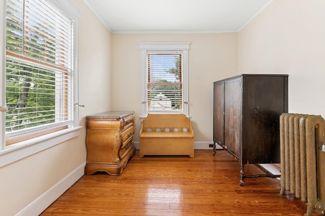 57 Maple Ave, Bay Shore, NY 11706 - living area featuring radiator heating unit, light wood-style floors, ornamental molding, and baseboards