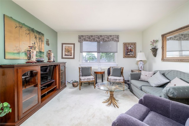 82-25 268th St Unit 175B, New Hyde Park, NY 11004 - view of carpeted living room