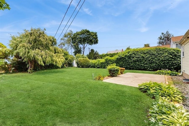29 Melanie Ln, Syosset, NY 11791 - view of green lawn featuring a patio area