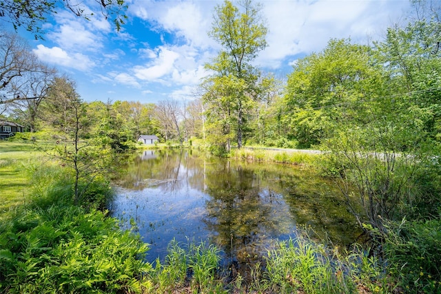 287 Norton Rd, Red Hook, NY 12571 - water view featuring a forest