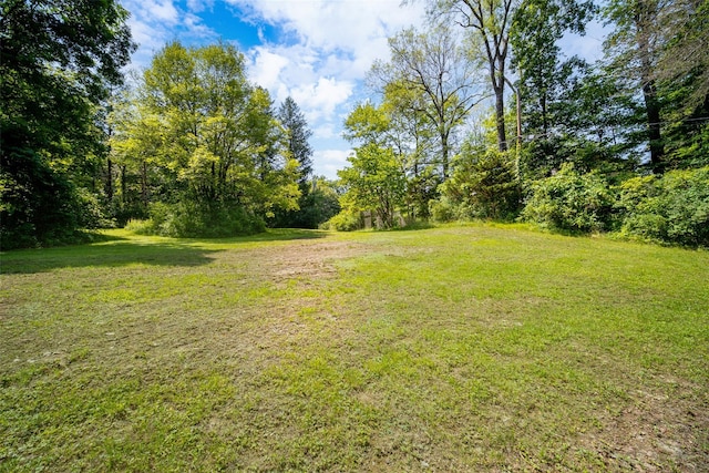 287 Norton Rd, Red Hook, NY 12571 - view of green lawn