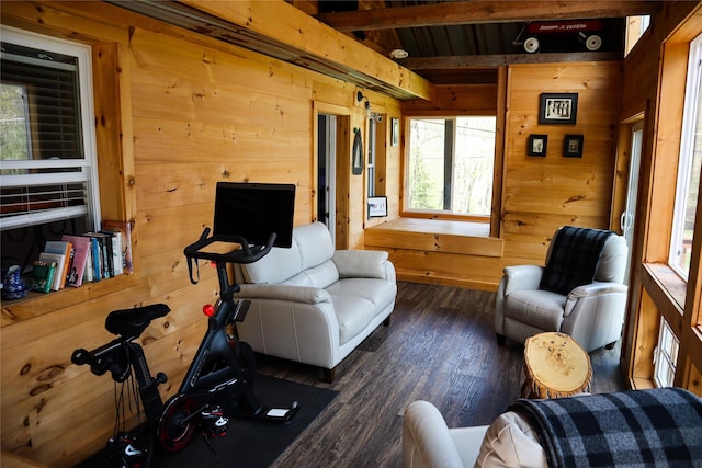 240 Cooks Brook Rd, Roscoe, NY 12776 - living area with healthy amount of natural light, wood walls, dark wood-type flooring, and beam ceiling