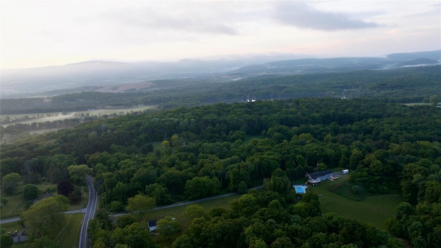 LOT34 County Route 27, Copake, NY 12516 - photo 1