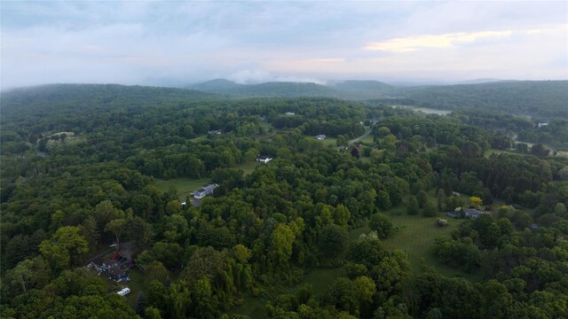 LOT34 County Route 27, Copake, NY 12516 - photo 5