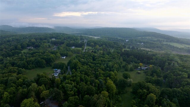 LOT34 County Route 27, Copake, NY 12516 - photo 6