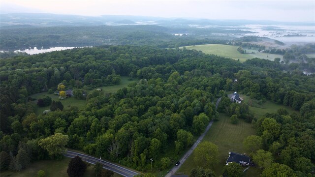 LOT34 County Route 27, Copake, NY 12516 - photo 7