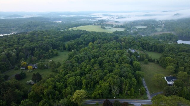 LOT34 County Route 27, Copake, NY 12516 - photo 8