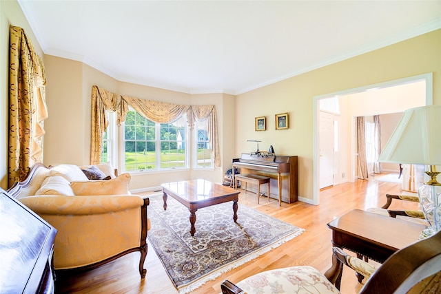 2 Marion Way, Lagrangeville, NY 12540 - living room featuring ornamental molding and wood finished floors