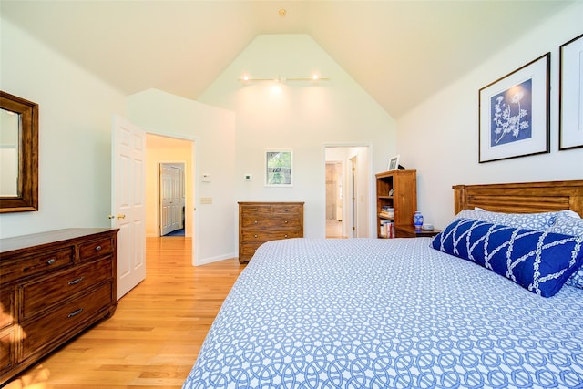 2 Marion Way, Lagrangeville, NY 12540 - bedroom with light wood-style floors and high vaulted ceiling