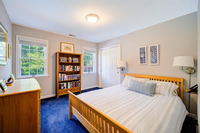 2 Marion Way, Lagrangeville, NY 12540 - bedroom featuring dark colored carpet and a closet