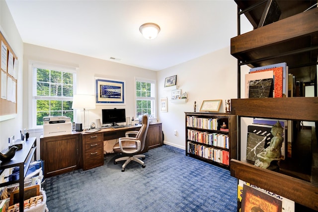 2 Marion Way, Lagrangeville, NY 12540 - office with dark colored carpet and baseboards