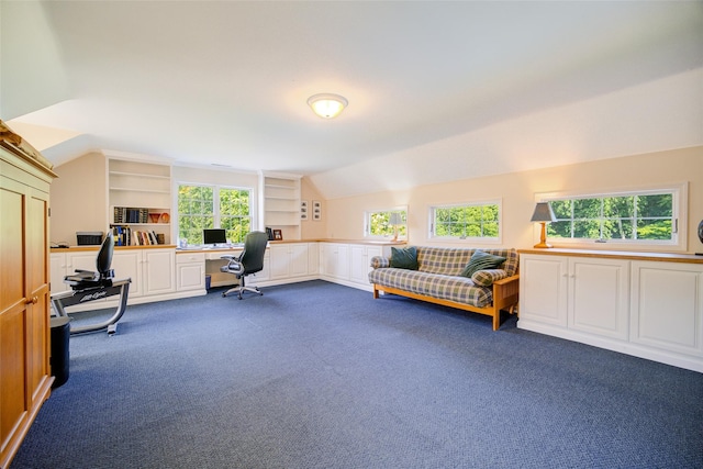 2 Marion Way, Lagrangeville, NY 12540 - office with dark carpet, lofted ceiling, and built in features