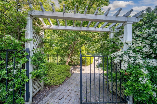 2 Marion Way, Lagrangeville, NY 12540 - gate featuring a pergola