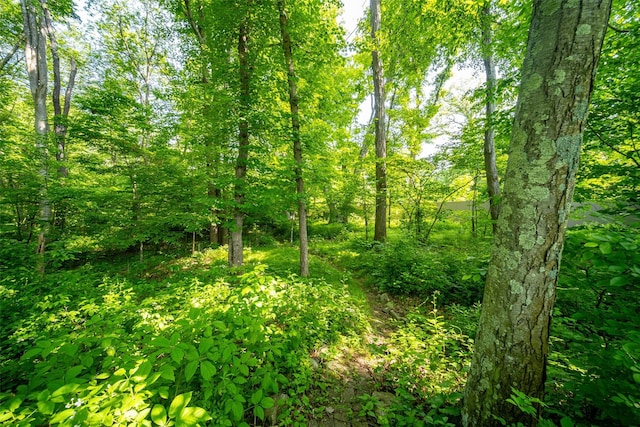 2 Marion Way, Lagrangeville, NY 12540 - view of nature