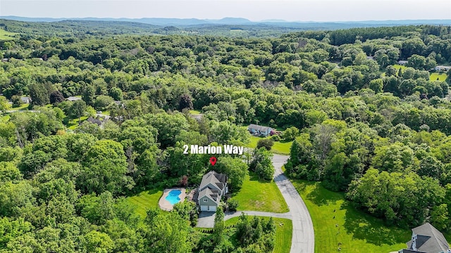 2 Marion Way, Lagrangeville, NY 12540 - bird's eye view of a forest and a pool area