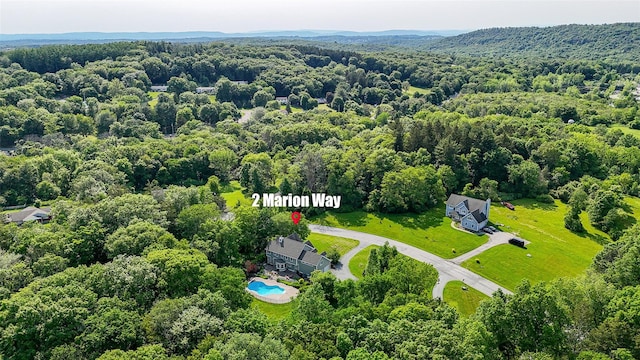 2 Marion Way, Lagrangeville, NY 12540 - aerial view of a pool and a heavily wooded area