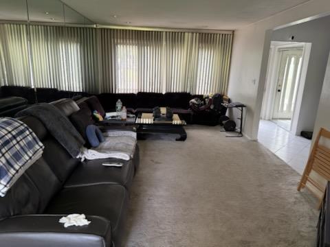 1055 Melissa Ln, North Bellmore, NY 11710 - living area with carpet floors