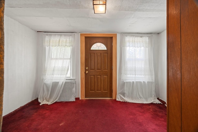 12104 Linden Blvd, South Ozone Park, NY 11420 - carpeted foyer entrance with healthy amount of natural light