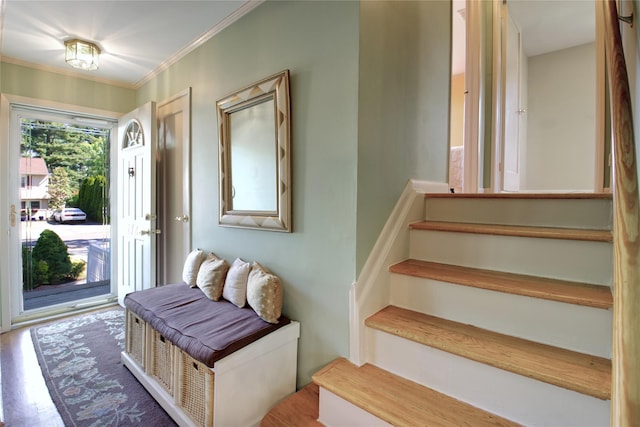172 Brook St, Garden City, NY 11530 - photo 4