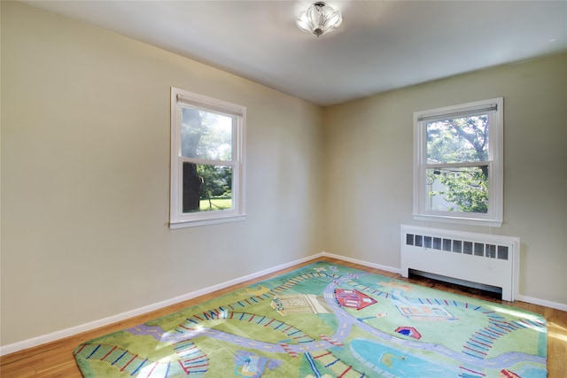 172 Brook St, Garden City, NY 11530 - photo 11