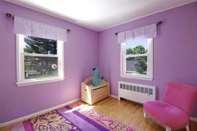 172 Brook St, Garden City, NY 11530 - photo 14