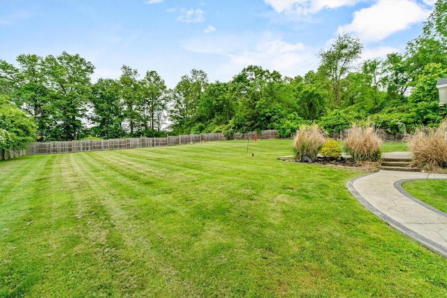491 Toleman Rd, Rock Tavern, NY 12575 - view of yard