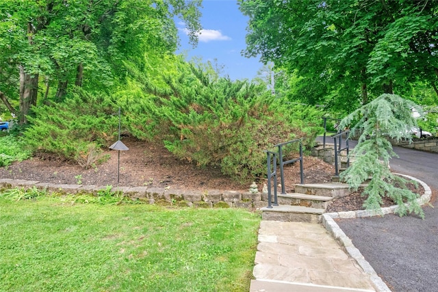 100 Castle Rd, Chappaqua, NY 10514 - view of grassy yard