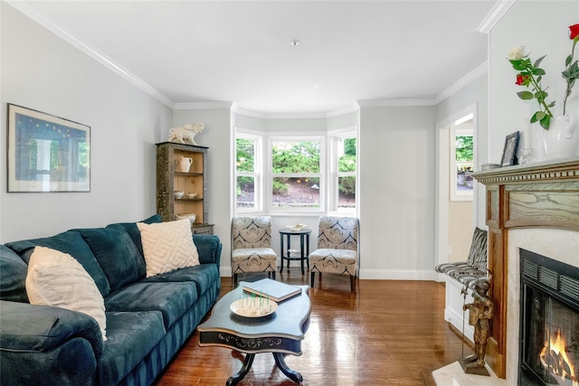 100 Castle Rd, Chappaqua, NY 10514 - living area with a warm lit fireplace, plenty of natural light, wood finished floors, baseboards, and crown molding
