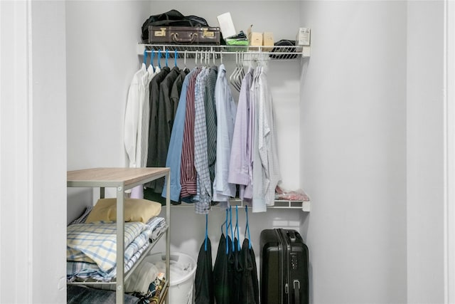 100 Castle Rd, Chappaqua, NY 10514 - view of spacious closet