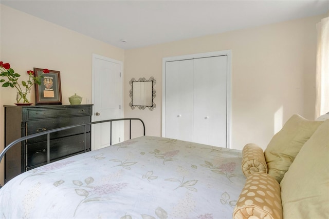 100 Castle Rd, Chappaqua, NY 10514 - bedroom with a closet