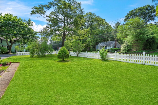 224 Washington Ave, Saint James, NY 11780 - view of yard