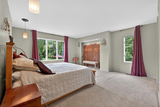 109 Sleight Plass Rd, Poughkeepsie, NY 12603 - carpeted bedroom featuring multiple windows