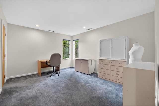 109 Sleight Plass Rd, Poughkeepsie, NY 12603 - home office featuring carpet flooring and recessed lighting