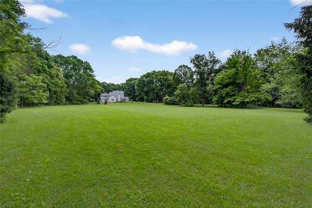 109 Sleight Plass Rd, Poughkeepsie, NY 12603 - view of green lawn