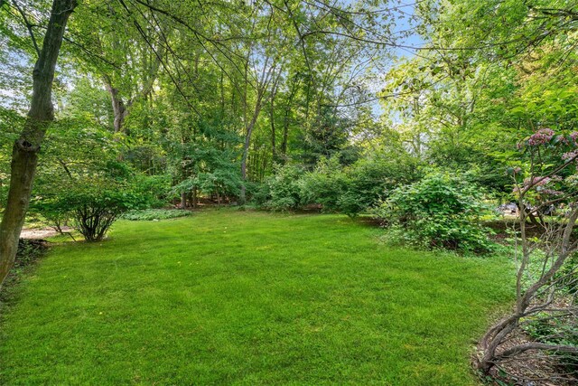 768 Rte 340, Palisades, NY 10964 - photo 40