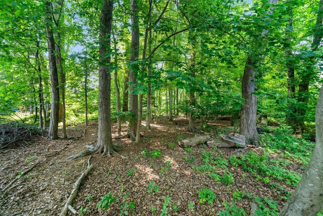 768 Rte 340, Palisades, NY 10964 - photo 41