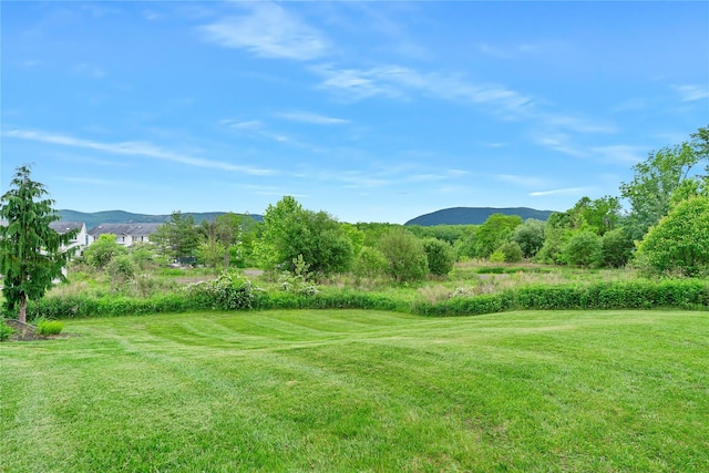 221 Tamerisk Ln, New Windsor, NY 12553 - view of grassy yard with a mountain view