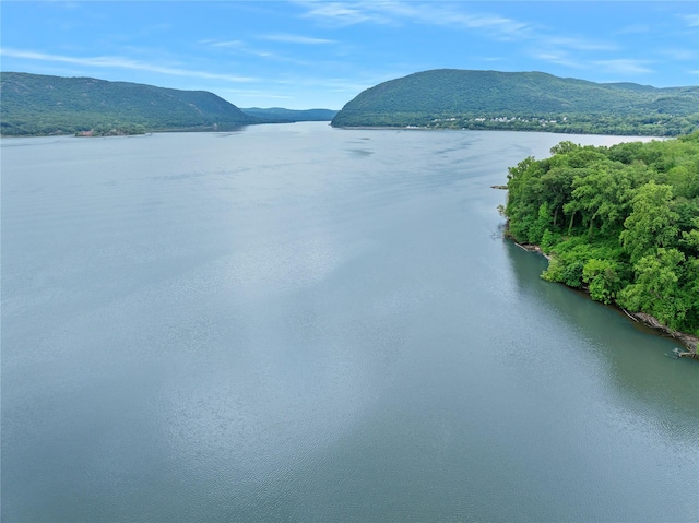 221 Tamerisk Ln, New Windsor, NY 12553 - water view with mountains