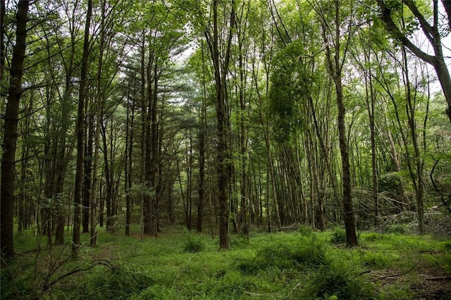 LOT1 Chapin Trl, White Lake, NY 12786
