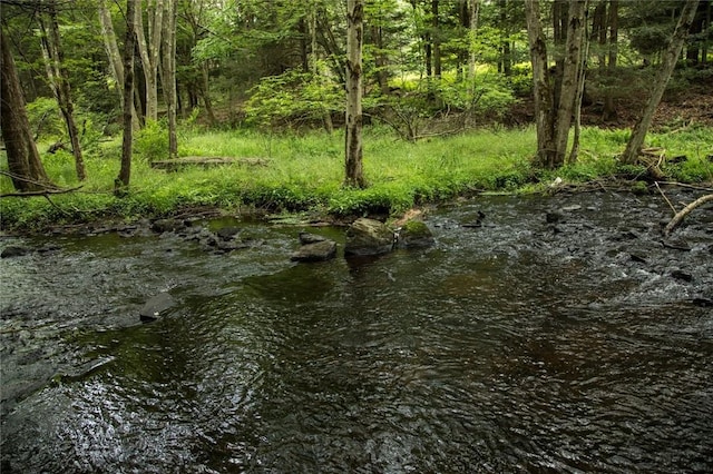 LOT1 Chapin Trl, White Lake, NY 12786