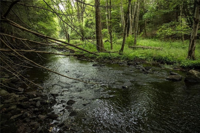 LOT1 Chapin Trl, White Lake, NY 12786