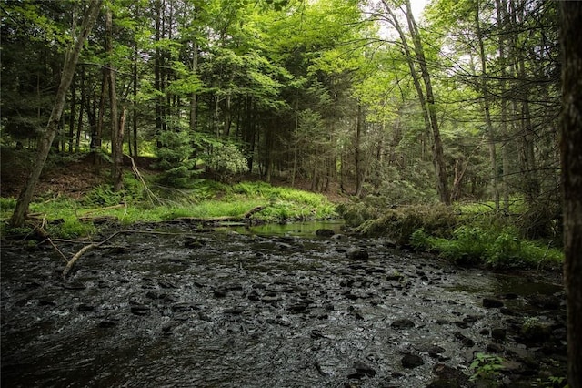 LOT1 Chapin Trl, White Lake, NY 12786