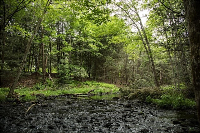 LOT1 Chapin Trl, White Lake, NY 12786